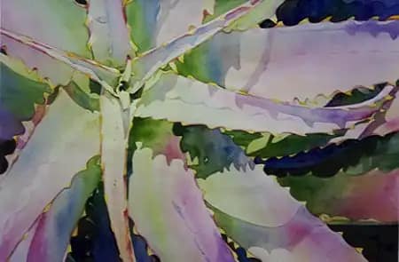 Mission Aloe