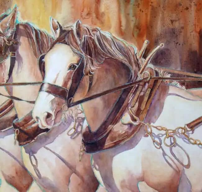 New-Zealand-Reins.webp