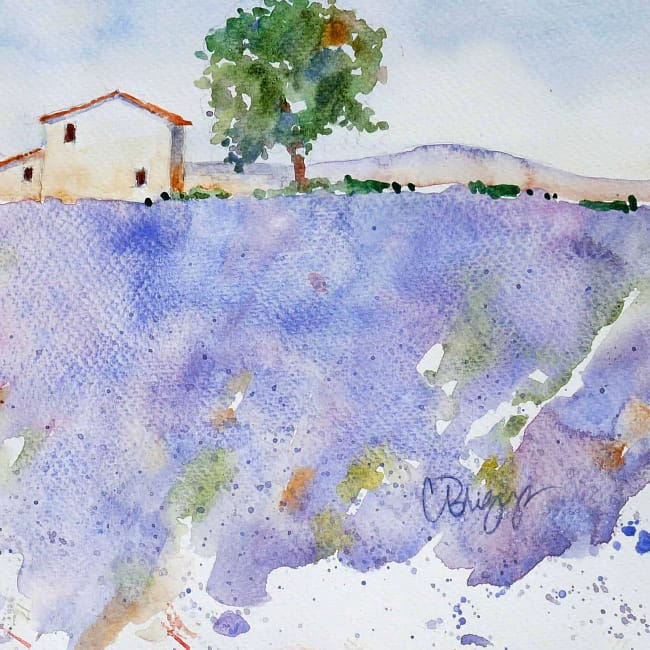Lavender-in-Provence