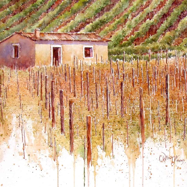 Val-diOrcia-Vineyard